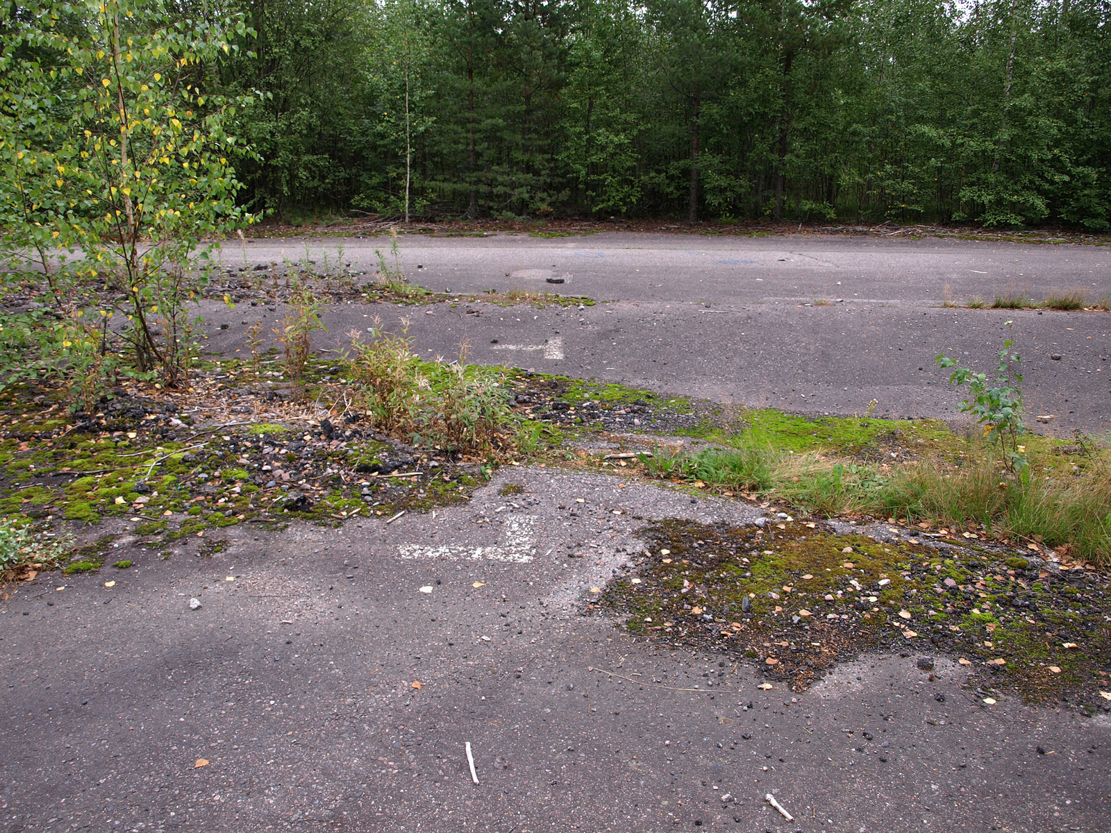 Keimolan Moottoristadion (Keimolan moottorirata), Keimola, LÃ¤htÃ¶ruudukkoa moottoriradalla